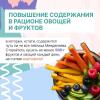 Здоровый образ жизни 